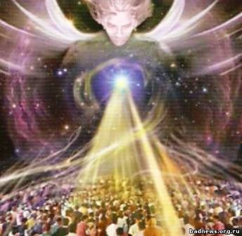 Воля каждого свободна