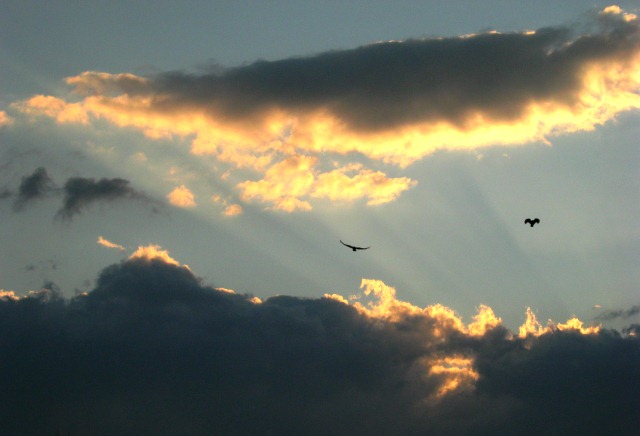 Бескрайняя даль предо мною...