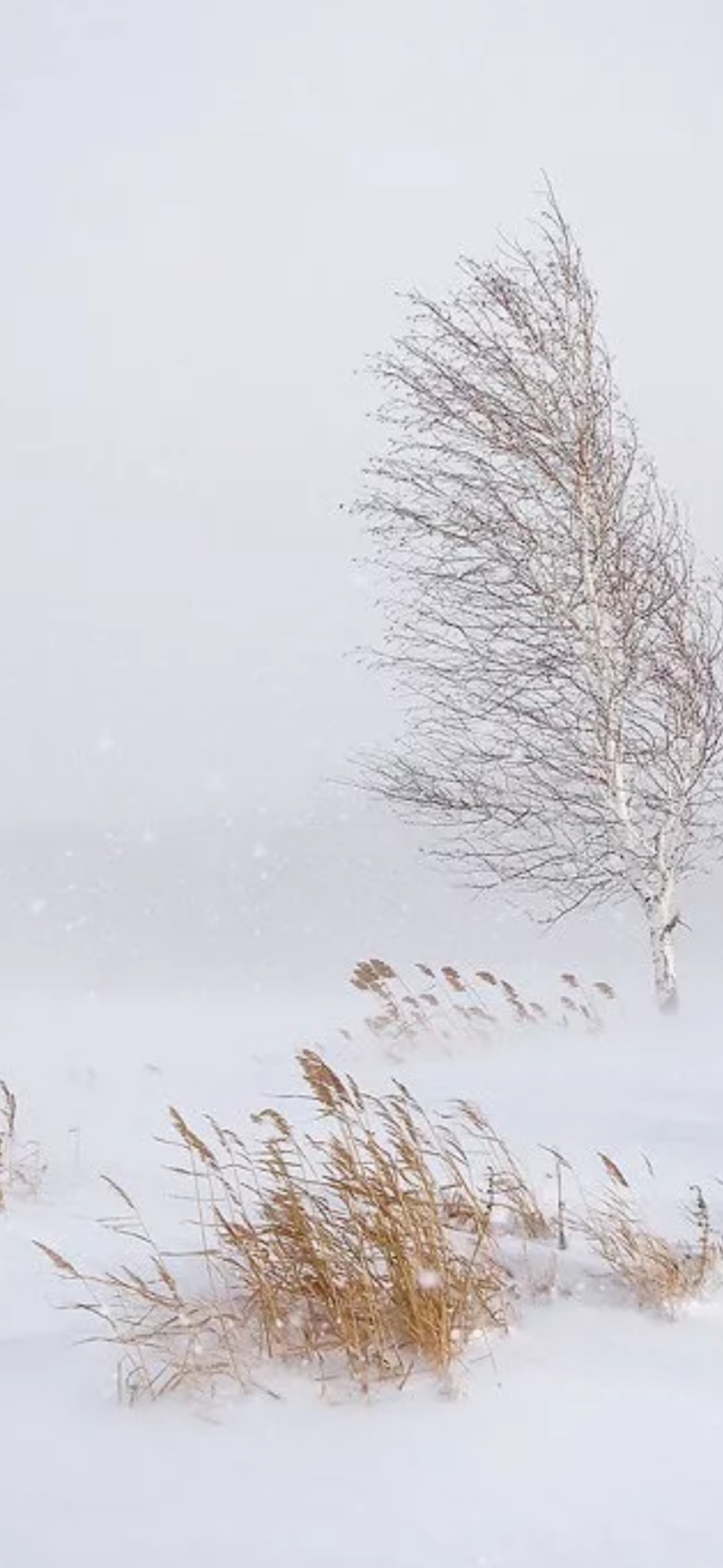 А на печке благодать!