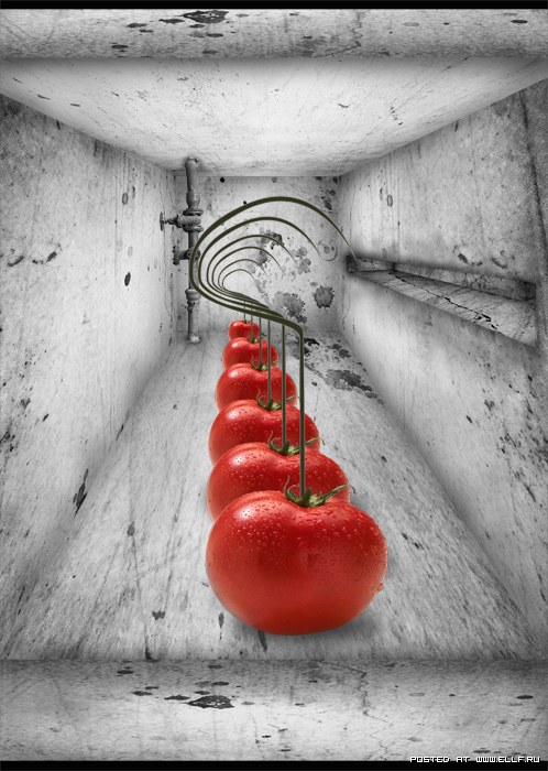 бред сумасшедшего 2