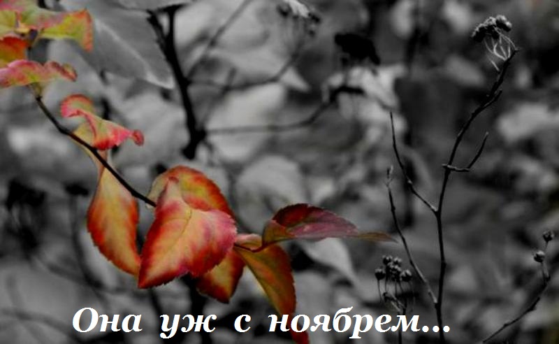 Она уж с ноябрем