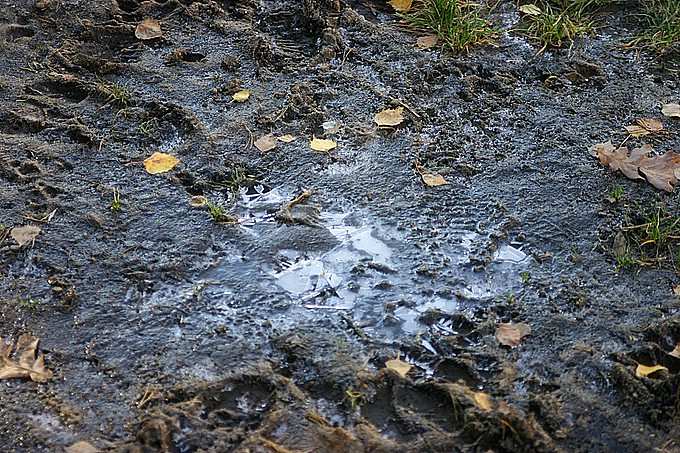 Осенний некролог