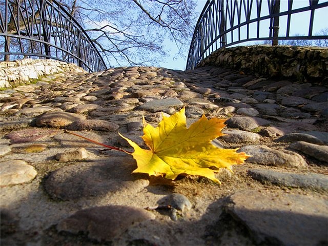 Последний листок