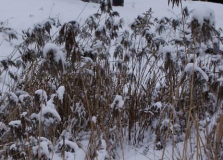 Мы гуляли с мамой в парке