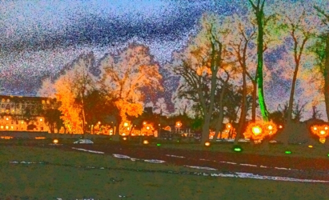 Ночной город для Ольги Олгерт