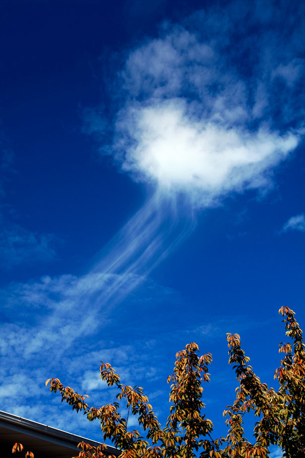 Www cloud. Необычные облака. Самые необычные облака. Необычные облака в небе. Облако в форме птицы.