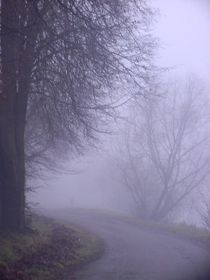 Дорога никуда