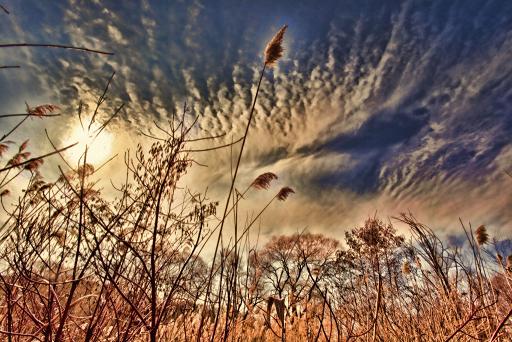 чи то сонце впало