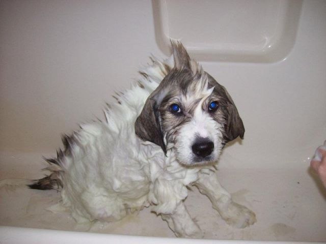 Полотенце взять забыли...