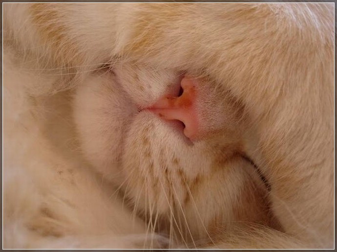 Дождь весь день в окно стучится