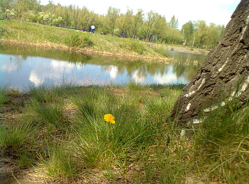 кусочек лета