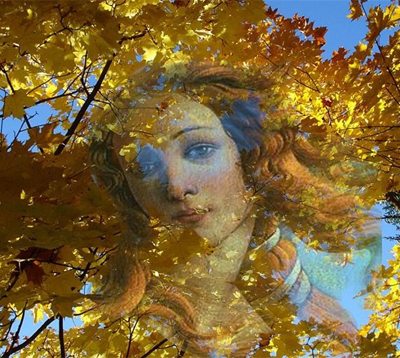 Тонкой паутиной