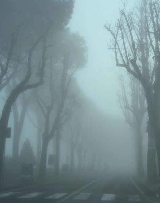 Хмурое утро