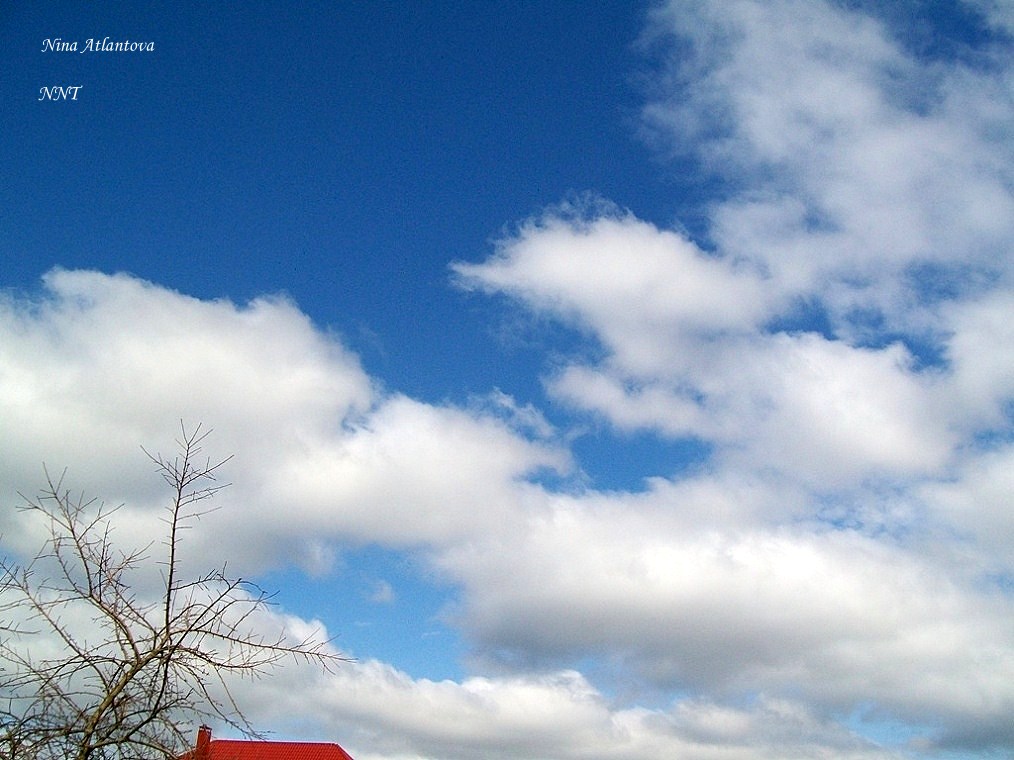 Ты фантазия