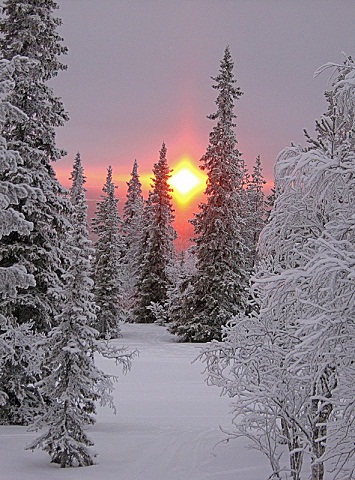 Жаль... Лидия Борисова