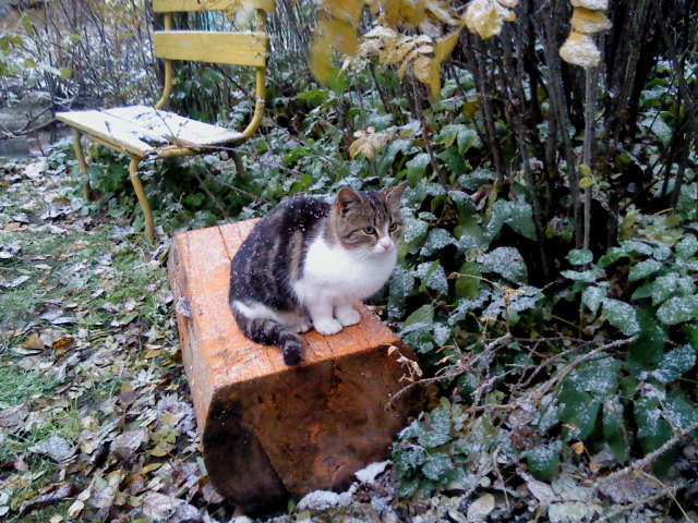 Снег в сентябре