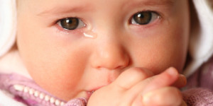 Лучшей на Земле