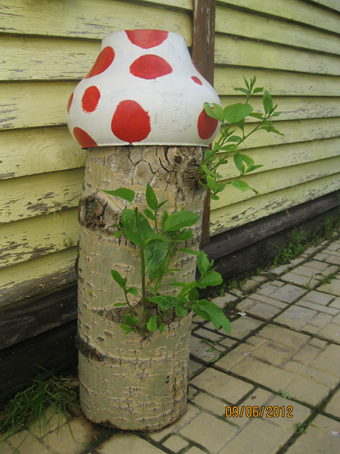 Забавные картинки. И даже пень в весенний день...