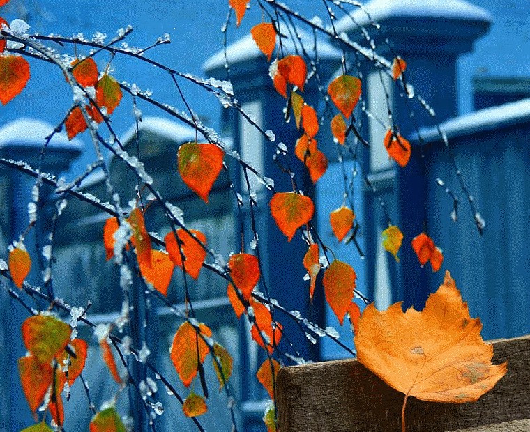 Первый снег...