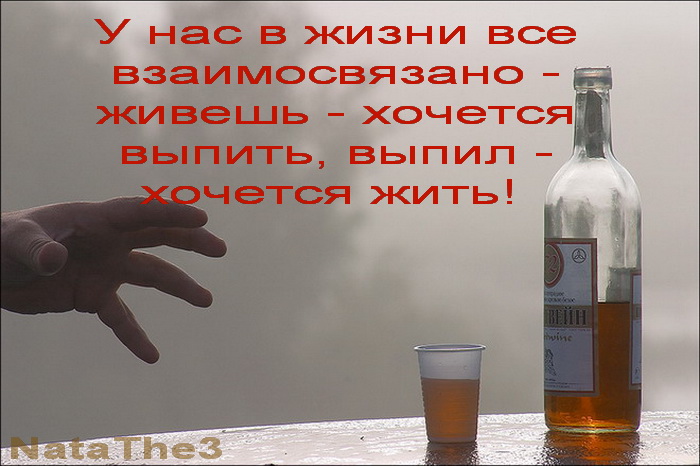 Цитаты про спирт