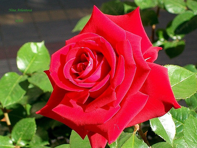 Ты не спеши