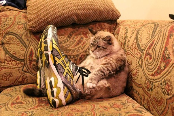 Эти очень уж большие