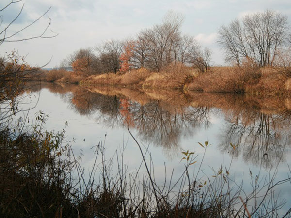 Вот и осень...