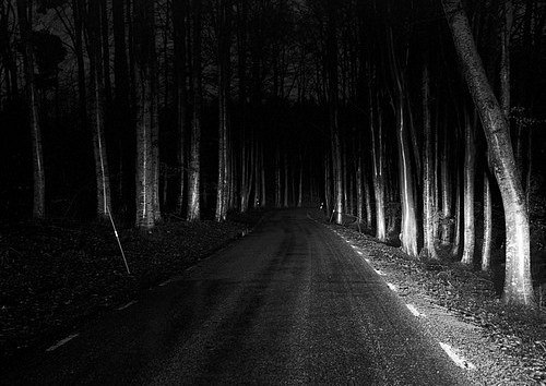 Гуманоид от слова гуманность