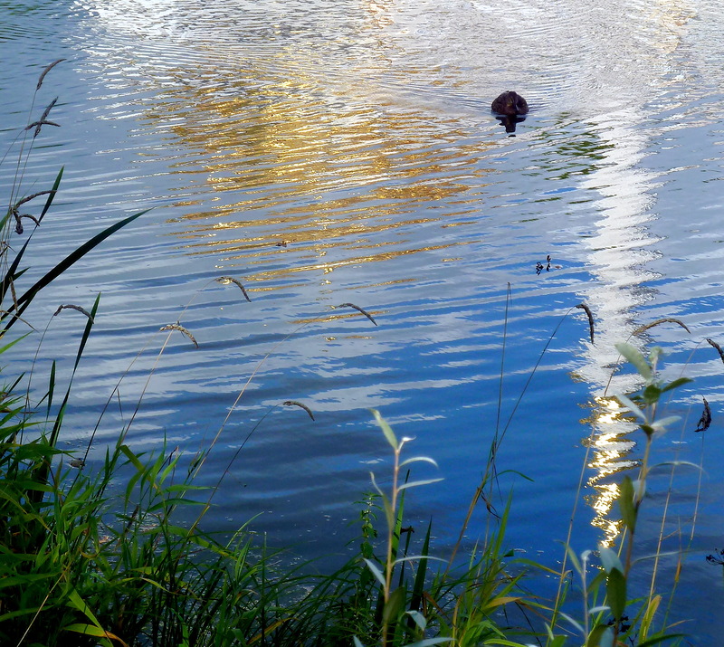 Душа же ликовала