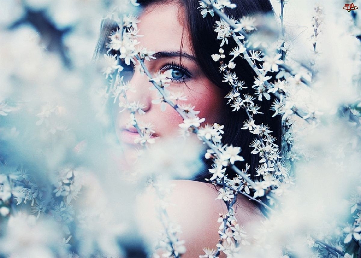 Твои снежинки на губах. Девушка лицо зима. Девушка Снежинка. Женщина и снег. Девушка в снегу.