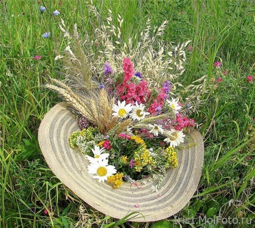 В тени берёзы белой