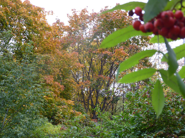 Не целовал, хоть вместе спали! О детстве