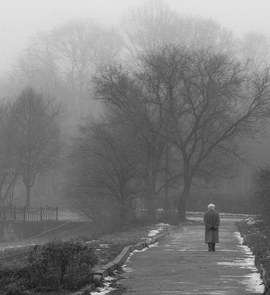 Седая осень уходила...