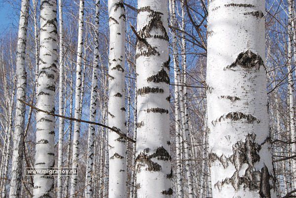 Коснулась пальцами отметин