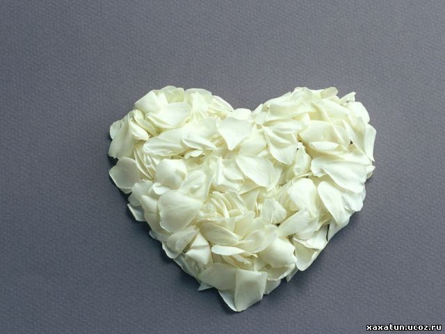 Услышь меня