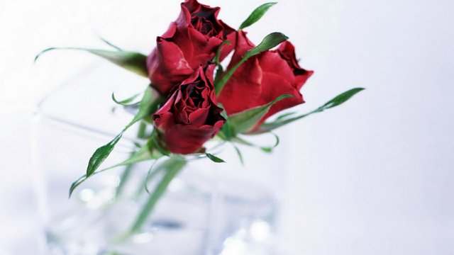 Вот какая я толерантная...