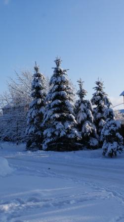 Снегурочка-сестрёнка
