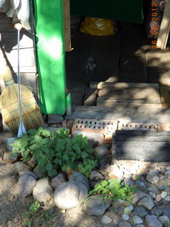 ВавкПроСИК к Вялизна КнякХинь