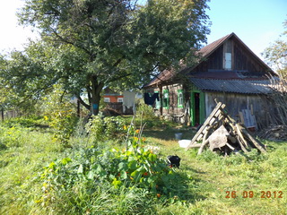 Тут саланина в Нин с Марынай!