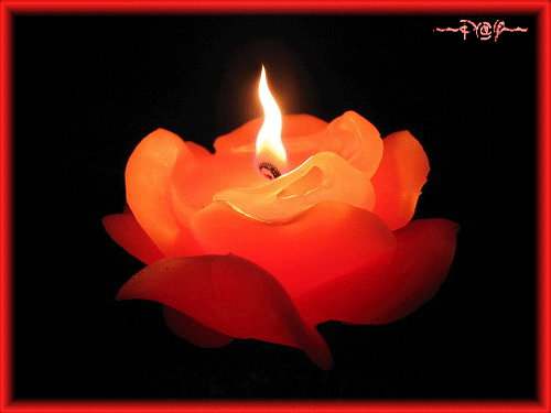 Не призывай