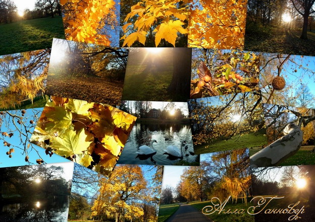 Анонс осеннего бала