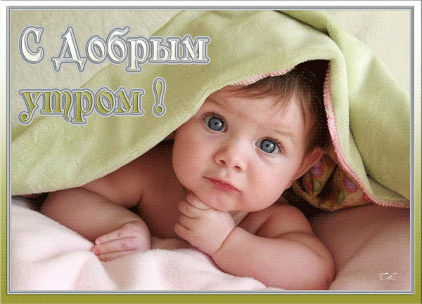 На мир смотрите, как малые дети! Весёлая поэзия!