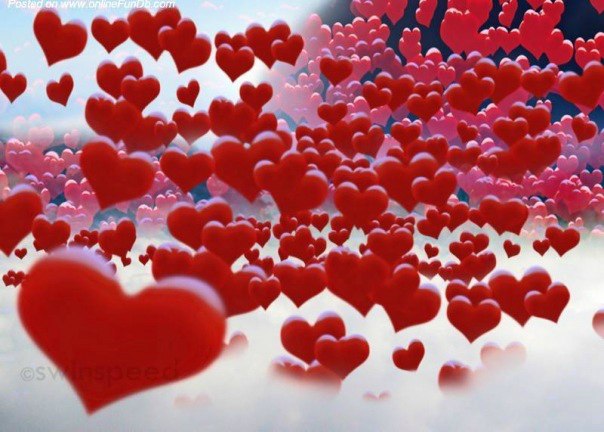 Будешь искать Её всю жизнь... 18. 11. 2012