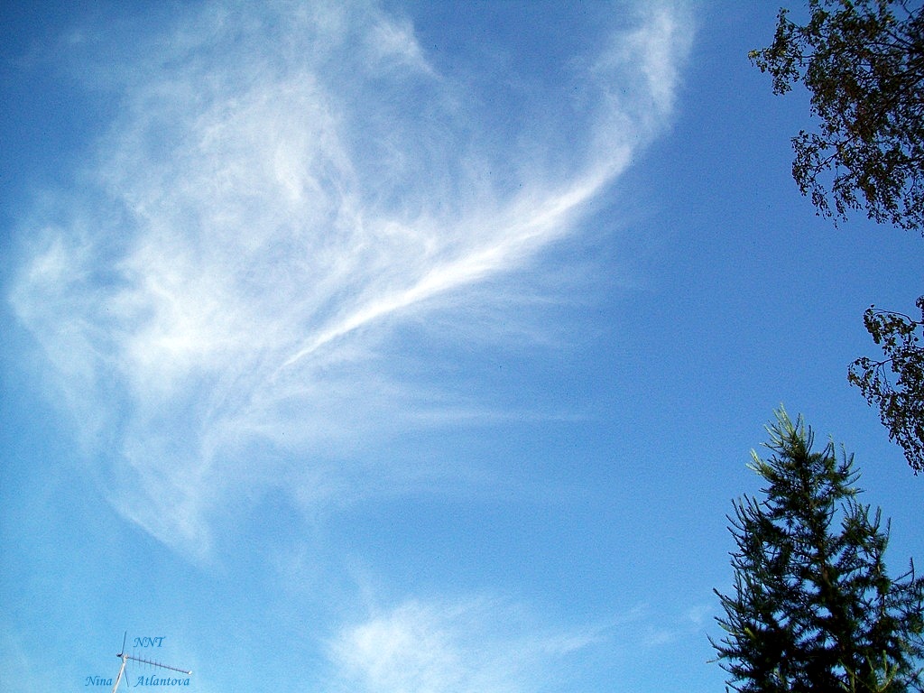 Были благодарны