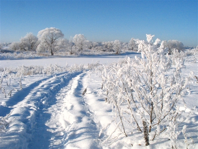Как давно не была на природе