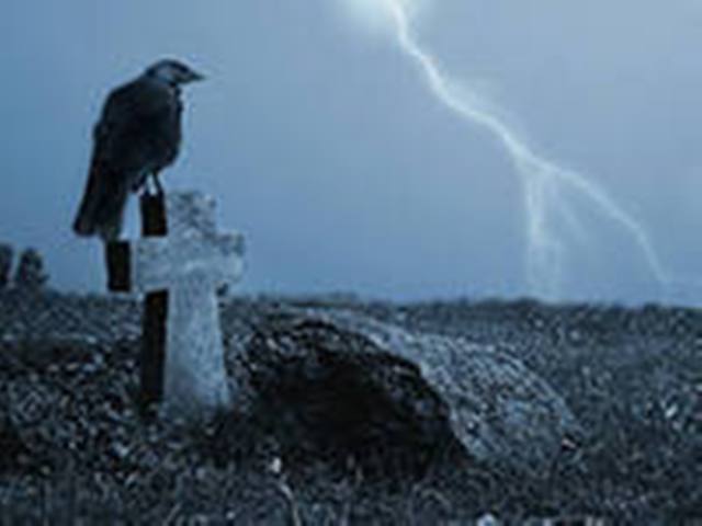 Черный ворон