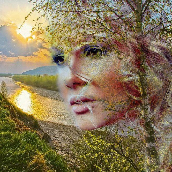 Заплетала косы тонкая берёзка