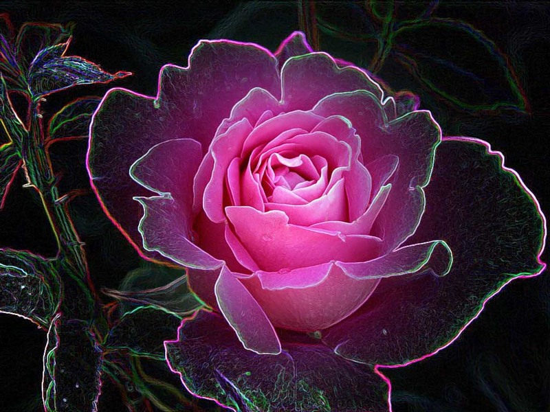 Пусть все будет, как есть, как Бог дал,