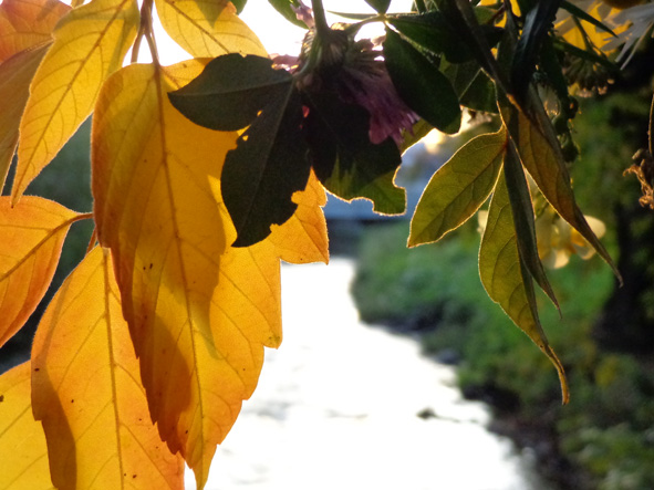 Итоги осени подводим! Сборник-2