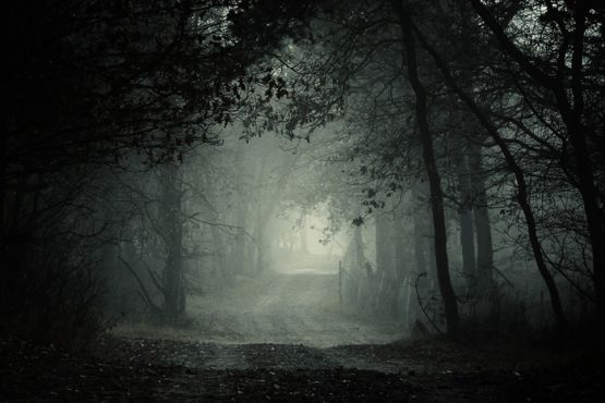 Ты вернулся домой...